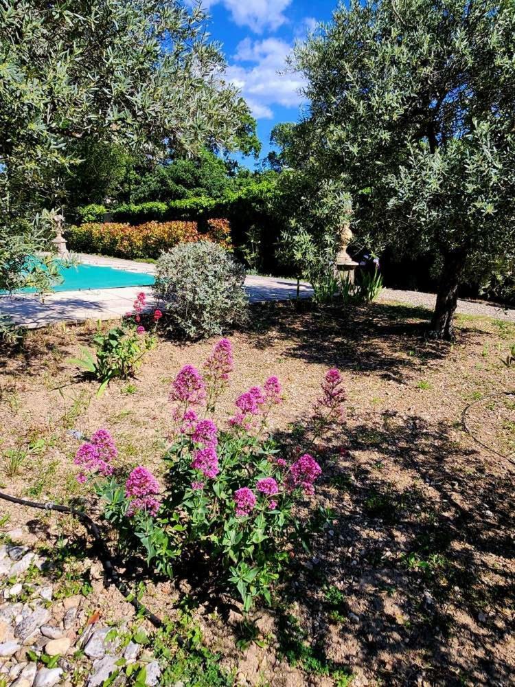 Le Clos Renaissance Oppède Extérieur photo